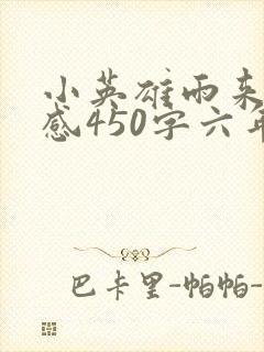 小英雄雨来读后感450字六年级