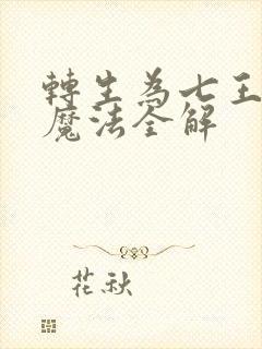 转生为七王子的魔法全解