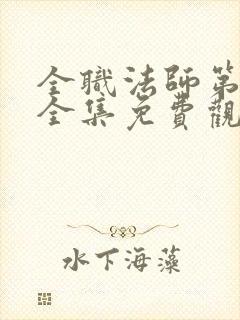 全职法师第七季全集免费观看