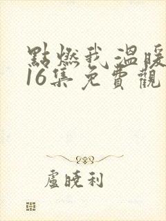 点燃我温暖你第16集免费观看