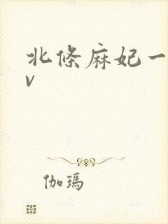 北条麻妃一区av