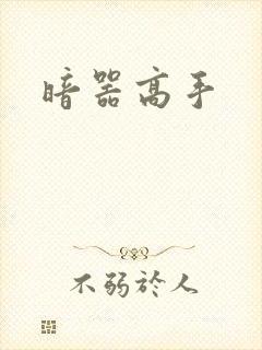 暗器高手封面