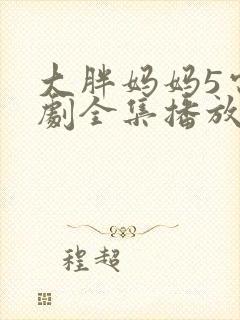 大胖妈妈5电视剧全集播放