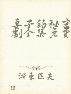 妻子的秘密电视剧全集免费观看西瓜封面