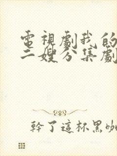 电视剧我的二哥二嫂分集剧情介绍