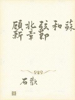 顾北弦和苏o最新章节