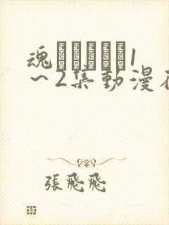 魂インサート1～2集动漫在线观看星河