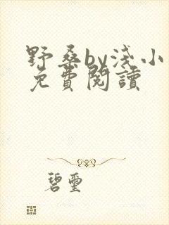 野桑by浅小说免费阅读