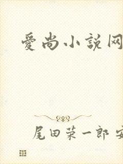 爱尚小说网