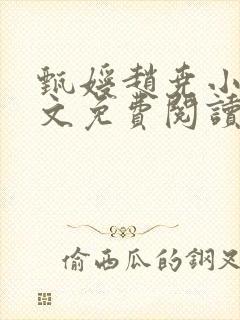 甄嫒赵尧小说全文免费阅读封面