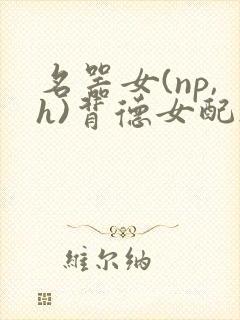 名器女(np,h)背德女配h