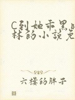 C到她乖黑暗森林的小说免费封面