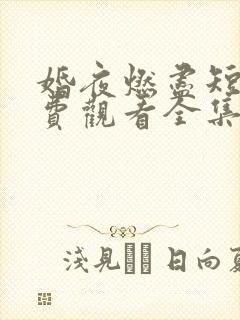 婚夜燃尽短剧免费观看全集完整版