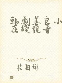 韩剧善良小 子在线观看