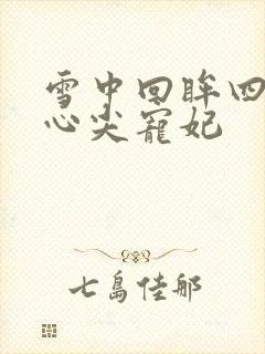 雪中回眸四爷的心尖宠妃