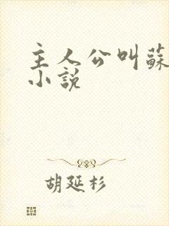 主人公叫苏尘的小说封面