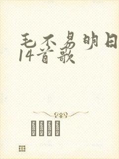 毛不易明日之子14首歌