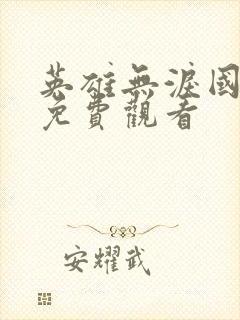 英雄无泪国语版免费观看