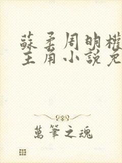 苏柔周明权赵刚主角小说免费阅读