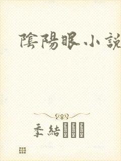 阴阳眼小说