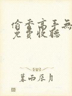 偷香高手无删减免费收听封面