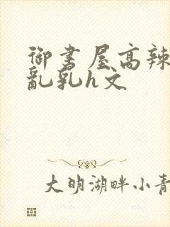 御书屋高辣h文乱乳h文封面