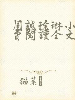 周诚徐琳小说免费阅读全文无弹窗封面