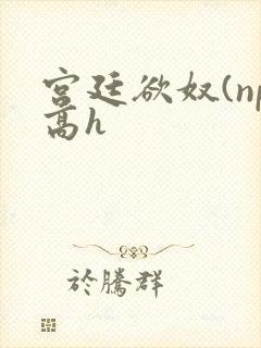 宫廷欲奴(np高h