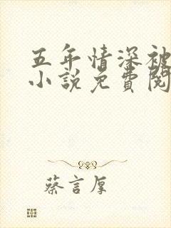 五年情深被风误小说免费阅读