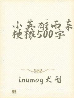 小英雄雨来全书梗概500字