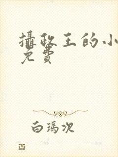 摄政王的小闲妻免费