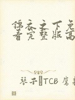 锦衣之下免费观看完整版高清