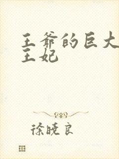 王爷的巨大进入王妃