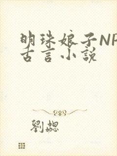 明珠娘子NPC古言小说
