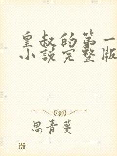 皇叔的第一宠妃小说完整版本封面