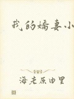 我的娇妻小说