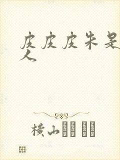 皮皮皮朱是哪里人