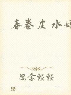 春卷皮 水妈妈封面