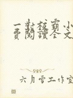 一对校霸小说免费阅读全文无弹窗