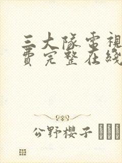 三大队电视剧免费完整在线观看国语