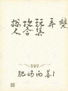 总攻玩弄双性美人合集封面