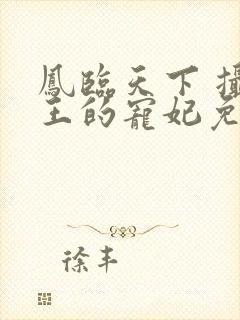 凤临天下 摄政王的宠妃免费阅读