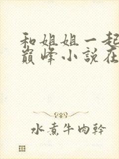 和姐姐一起到达巅峰小说在线阅读封面
