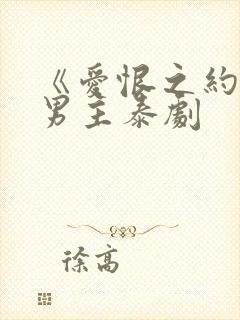 《爱恨之约》双男主泰剧