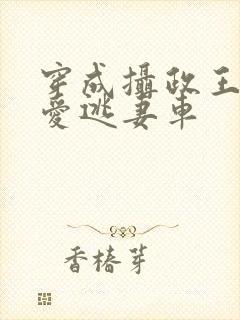 穿成摄政王的侍爱逃妻车