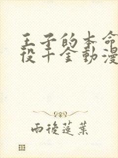 王子的本命是恶役千金动漫樱花动漫