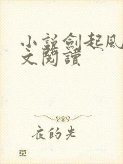 小说剑起风云全文阅读封面