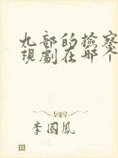 九部的检察官电视剧在哪个台播出