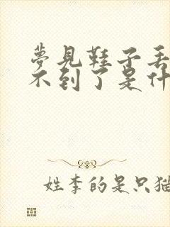 梦见鞋子丢了找不到了是什么预兆封面