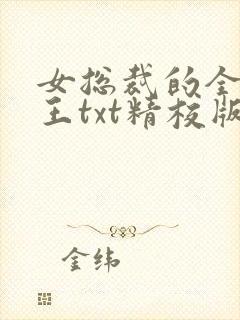 女总裁的全能兵王txt精校版下载封面